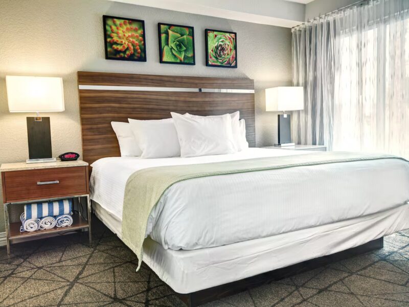 Desert Rose Resort - One Bedroom Suite